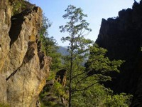 Monte Pellerin da Bracchiel...