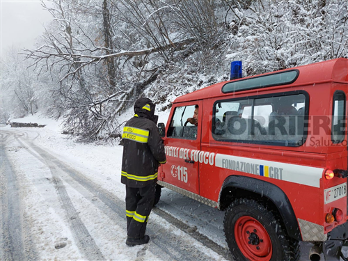 Obbligo di taglio piante lungo le strade pubbliche